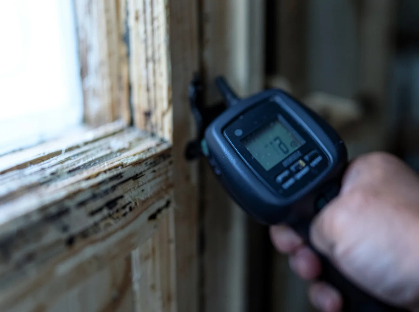 Commercial Water Damage Restoration in Nett Lake, MN